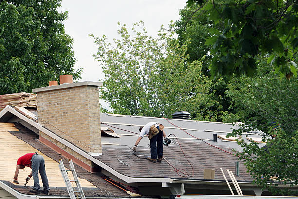 Best Roof Gutter Cleaning  in Hemet, CA